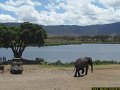 Magnifique Tanzanie-138